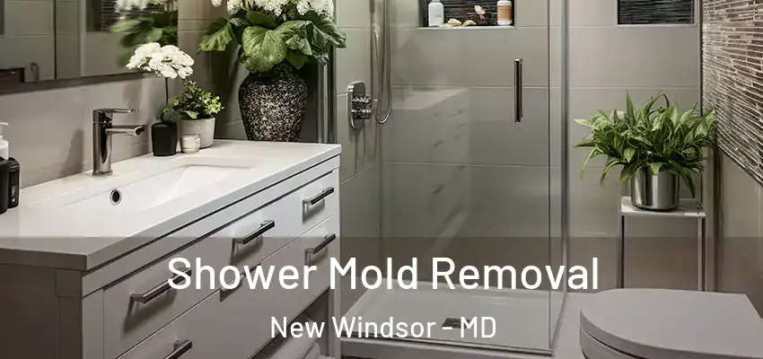 Shower Mold Removal New Windsor - MD