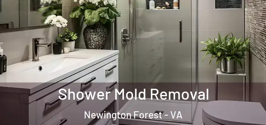 Shower Mold Removal Newington Forest - VA