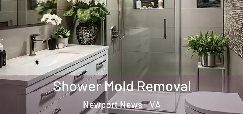 Shower Mold Removal Newport News - VA