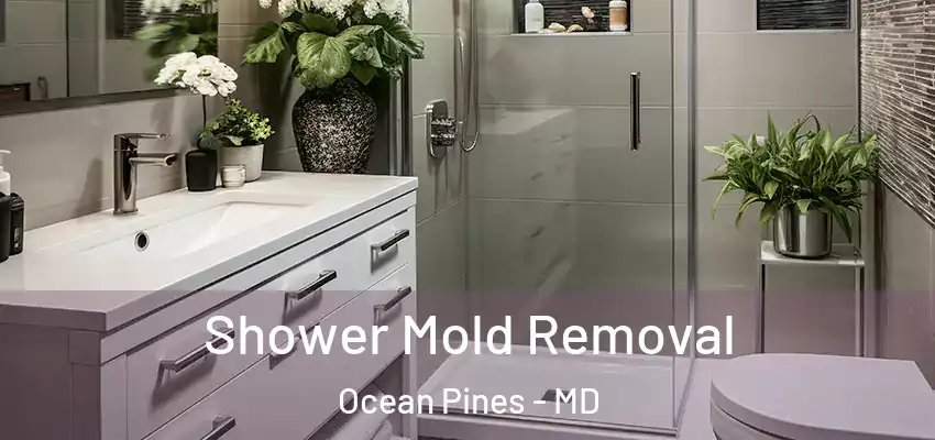 Shower Mold Removal Ocean Pines - MD
