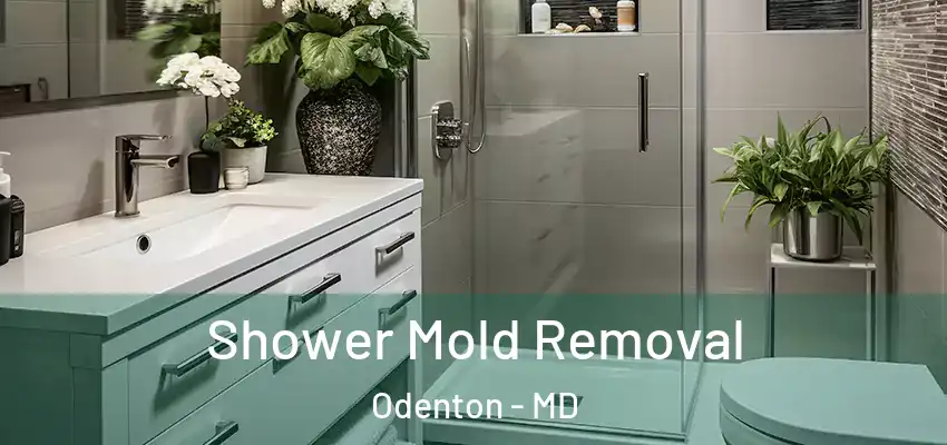 Shower Mold Removal Odenton - MD