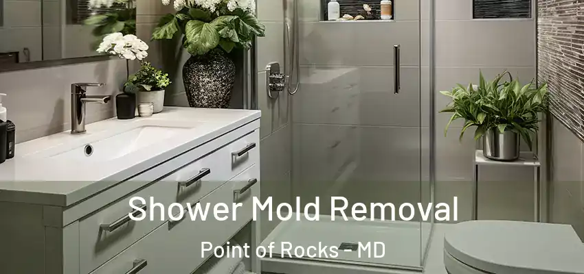  Shower Mold Removal Point of Rocks - MD