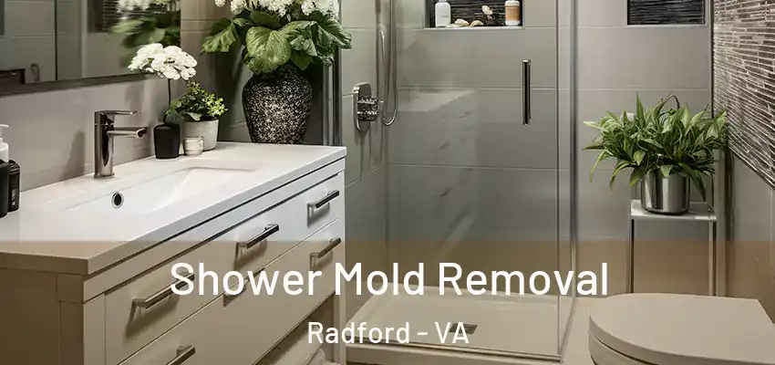  Shower Mold Removal Radford - VA
