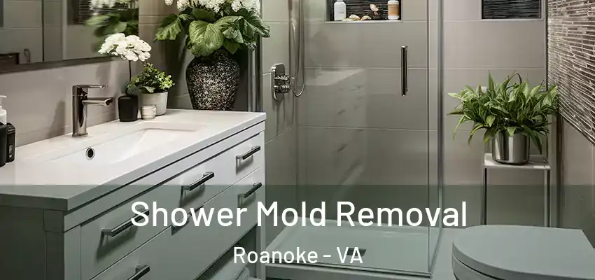 Shower Mold Removal Roanoke - VA