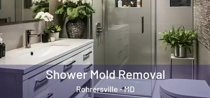  Shower Mold Removal Rohrersville - MD