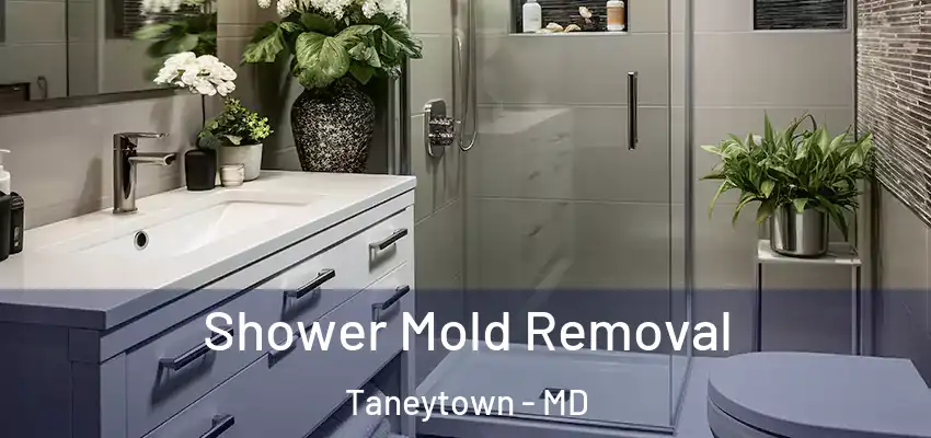 Shower Mold Removal Taneytown - MD