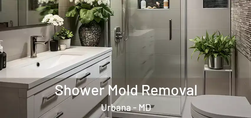  Shower Mold Removal Urbana - MD