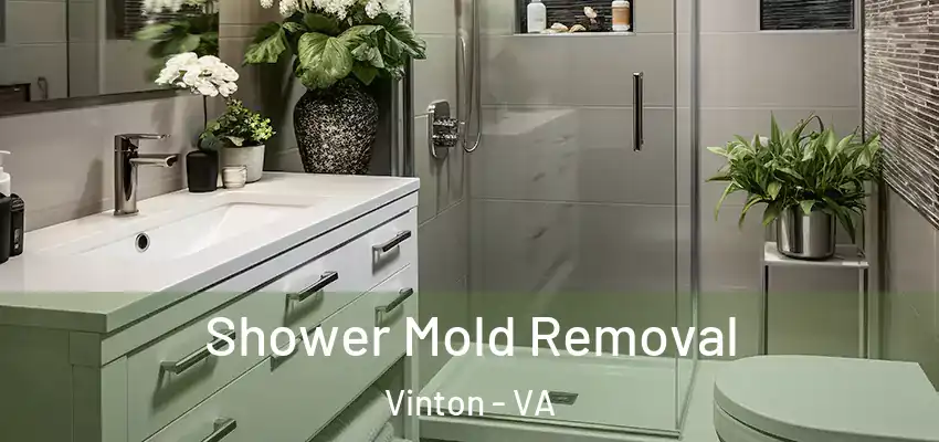 Shower Mold Removal Vinton - VA