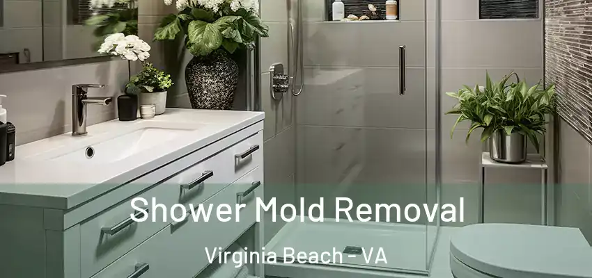 Shower Mold Removal Virginia Beach - VA