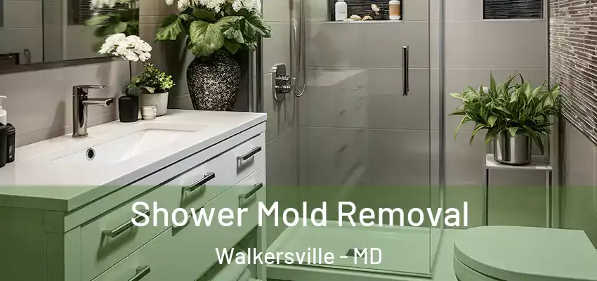  Shower Mold Removal Walkersville - MD
