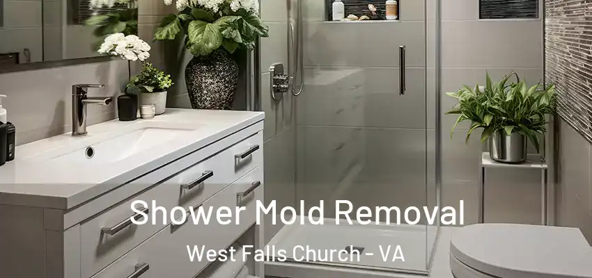  Shower Mold Removal West Falls Church - VA