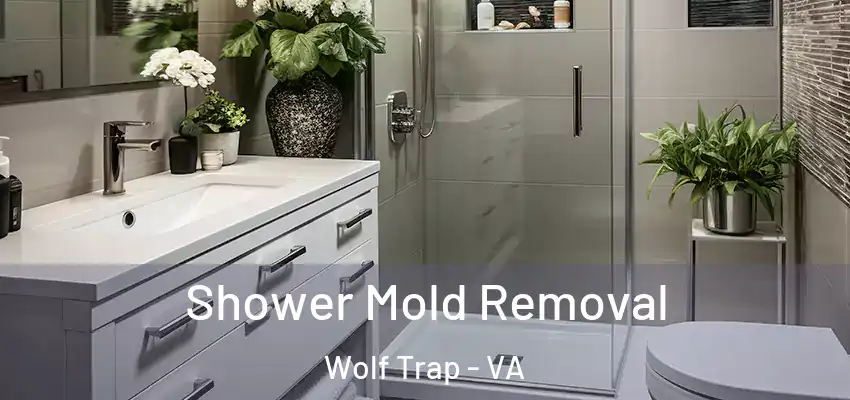 Shower Mold Removal Wolf Trap - VA