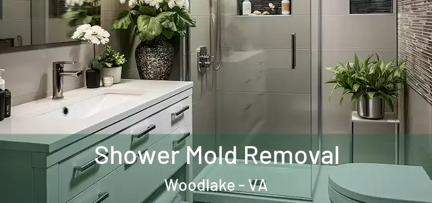 Shower Mold Removal Woodlake - VA